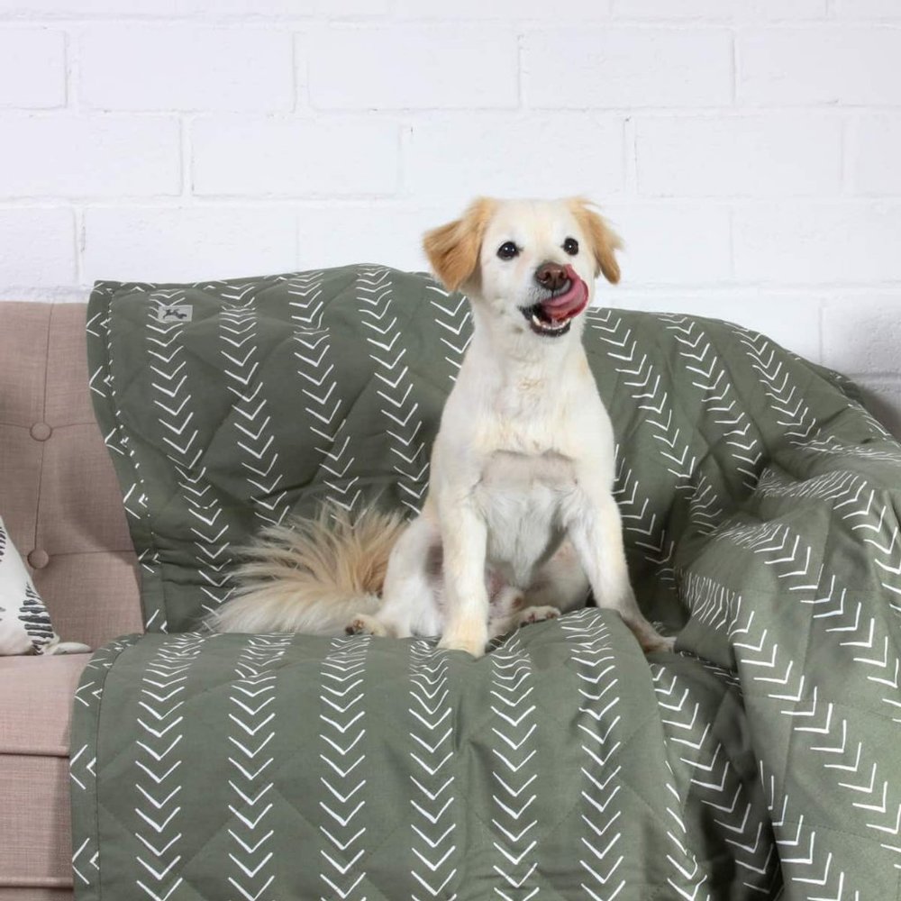 Molly Mutt - Forever Young Pet Blanket